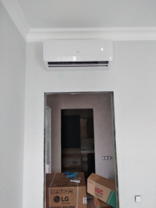 img5_77078.jpg